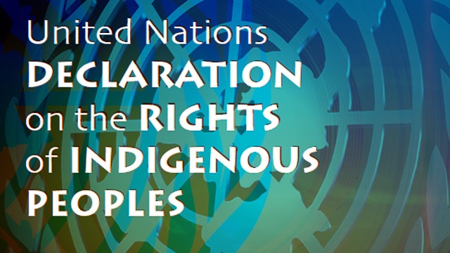 Undrip Resource Extraction And Indigenous Consent In Canada Amnesty International Canada