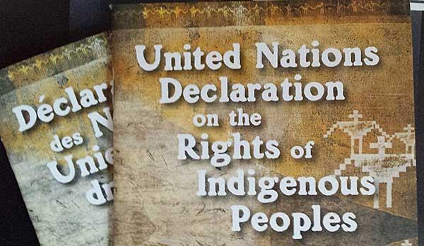 The United Nations Declaration on the Rights of Indigenous Peoples |  Amnesty International Canada