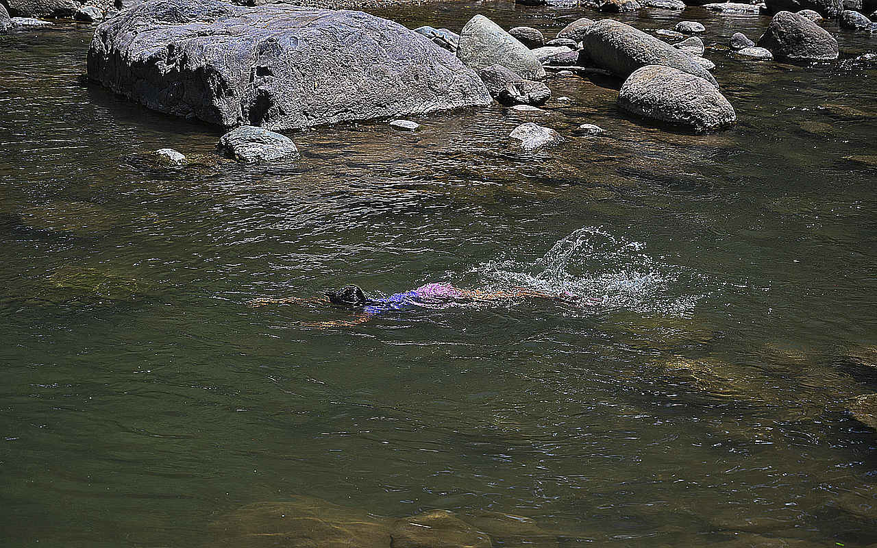 A girl swims in the waters of the Guapinol river