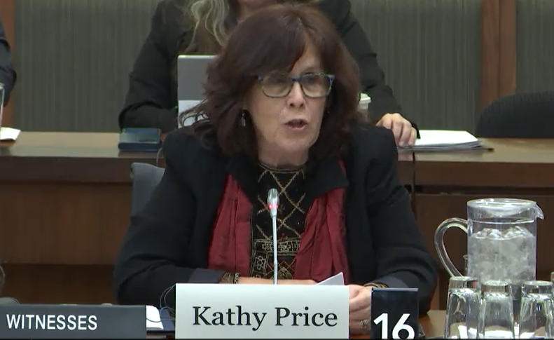 Amnesty International Canada's Kathy Price testifies to the Standing Committee hearing